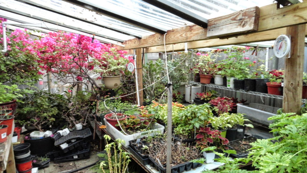 Greenhouse featured in Gardening Garland’s greenhouse planning article